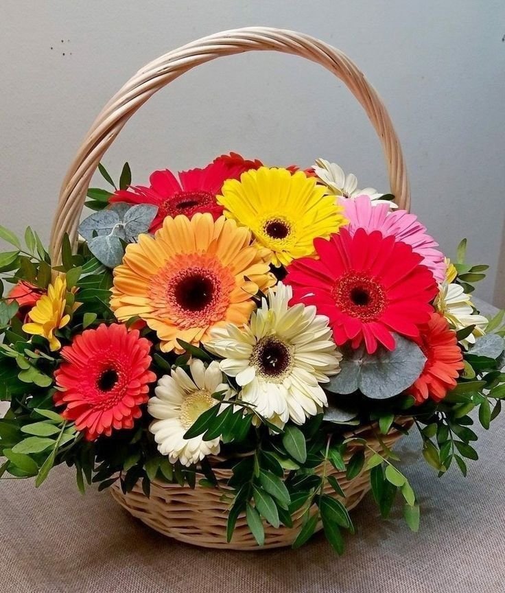 Premium Gerbera Gift Basket
